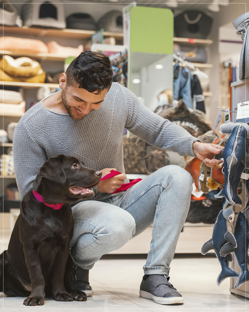 Os melhores pet shops do Tatuapé | Comércio de Bairros